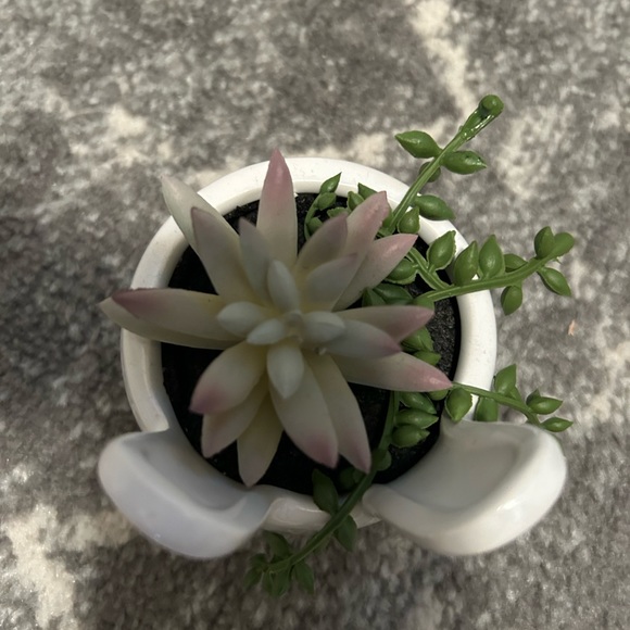 White bunny faux succulent potted plant - Picture 3 of 3